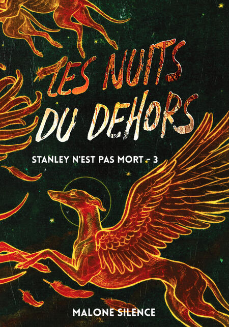 Les Nuits du Dehors Couverture du livre "Les Nuits du Dehors"