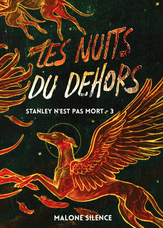Les Nuits du Dehors Couverture du roman "Les Nuits du Dehors"